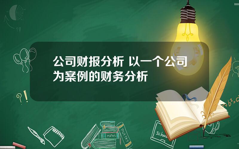 公司财报分析 以一个公司为案例的财务分析